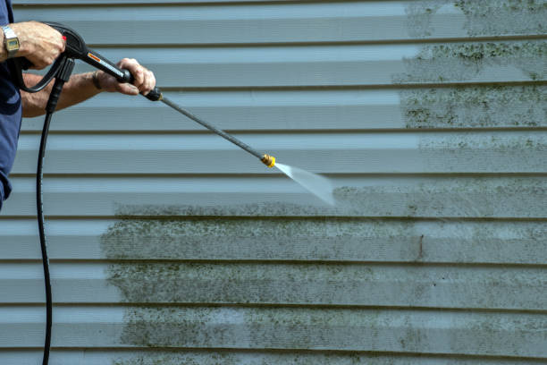Best Deck Cleaning Services  in Dunmore, PA