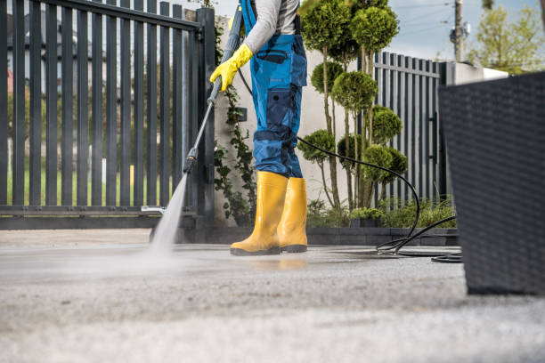 Best Roof Power Washing Services  in Dunmore, PA
