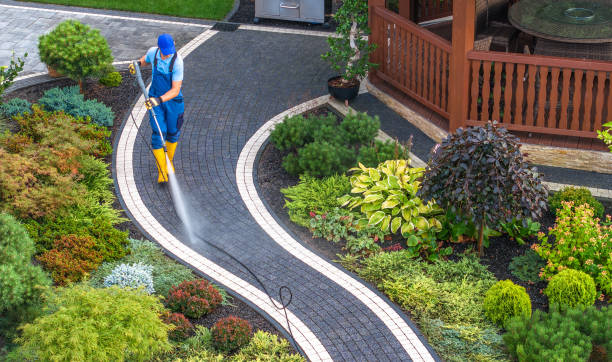 Best Pressure Washing Siding  in Dunmore, PA